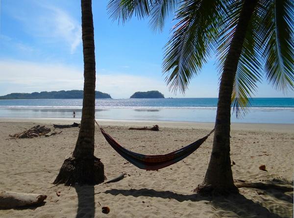 Two palm trees and a hammock on a beach