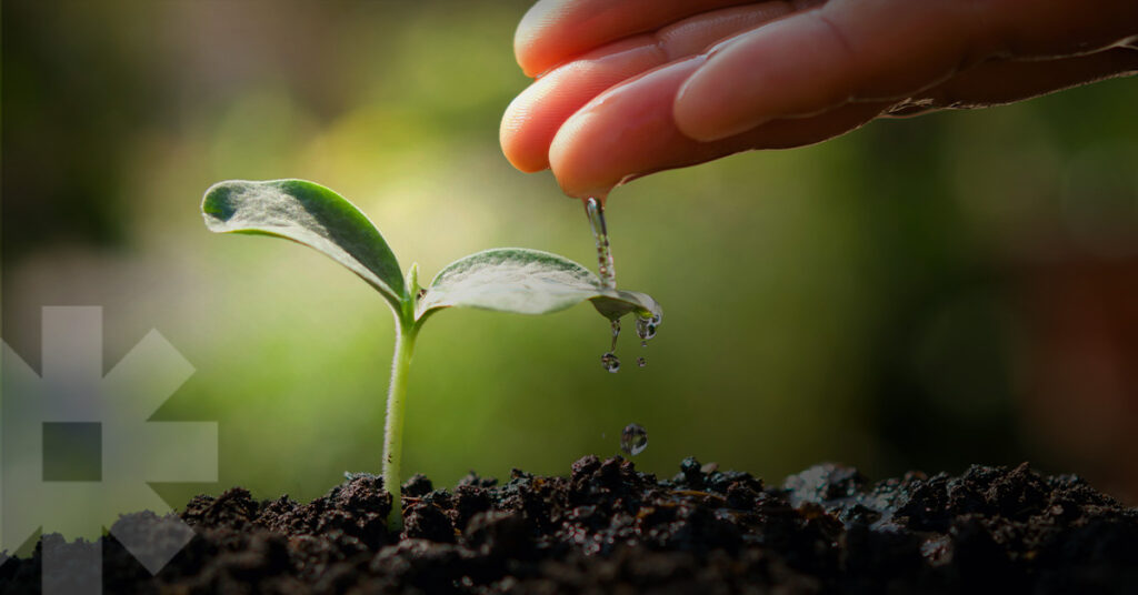 A hand pours water on a budding plant, symbolizing healthy growth through health marketing